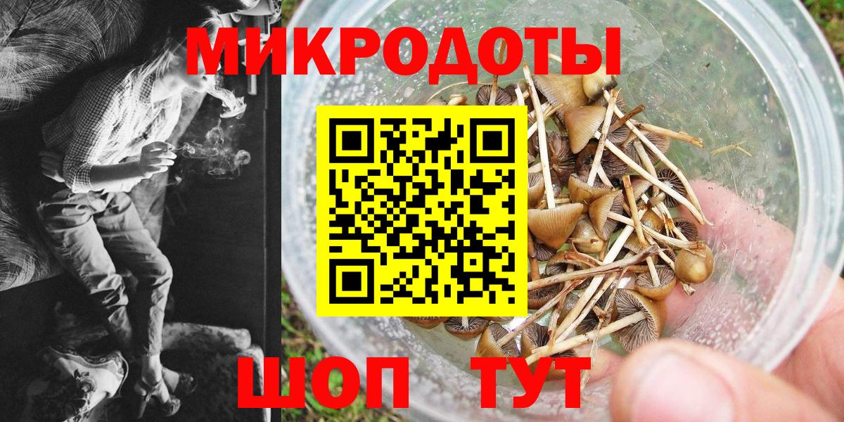 Галлюциногенные грибы MAGIC MUSHROOMS Канск