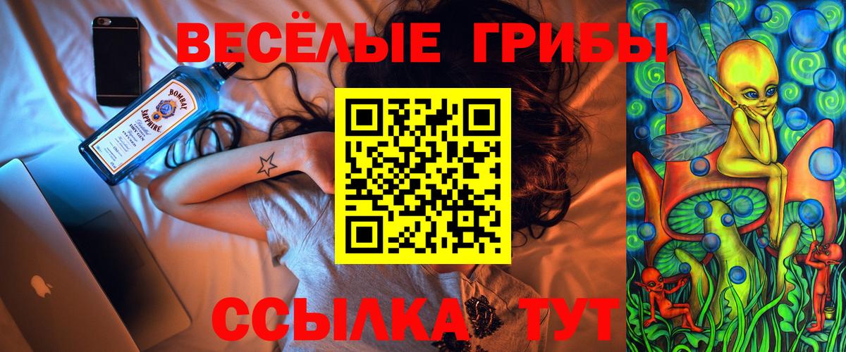 Канск  купить наркотики цена  Псилоцибиновые грибы мухоморы  Вход с VPN  Псилоцибиновые грибы GOLDEN TEACHER 